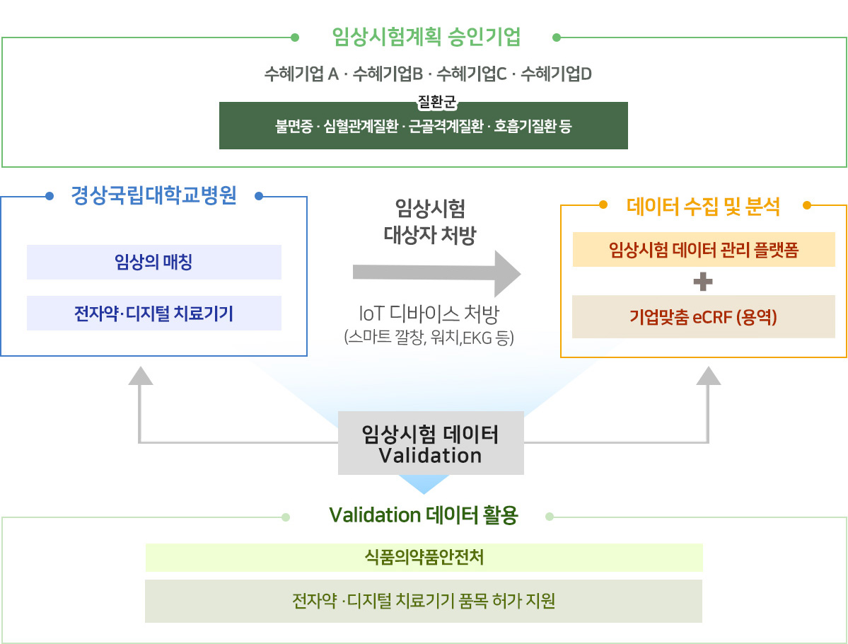 특화임상시험 시스템 체계